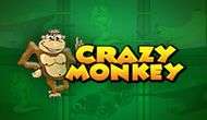 Crazy Monkey